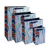 Picture of MALE SPOT GIFT BAG